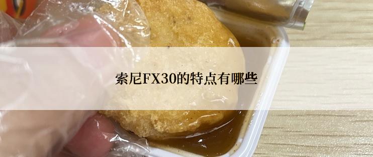 索尼FX30的特点有哪些