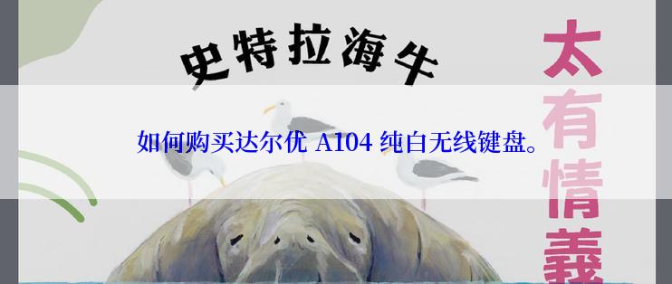 如何购买达尔优 A104 纯白无线键盘。