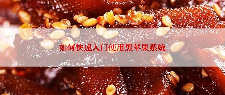 如何快速入门使用黑苹果系统