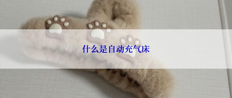 什么是自动充气床