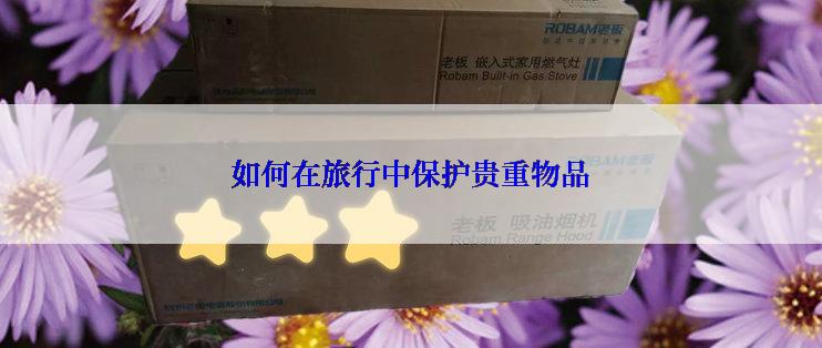 如何在旅行中保护贵重物品