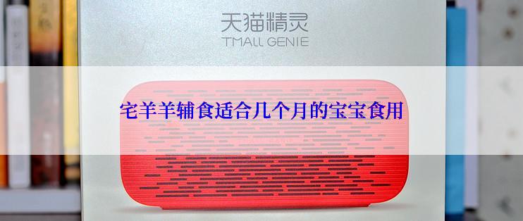 宅羊羊辅食适合几个月的宝宝食用