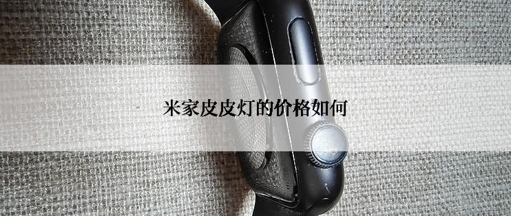 米家皮皮灯的价格如何