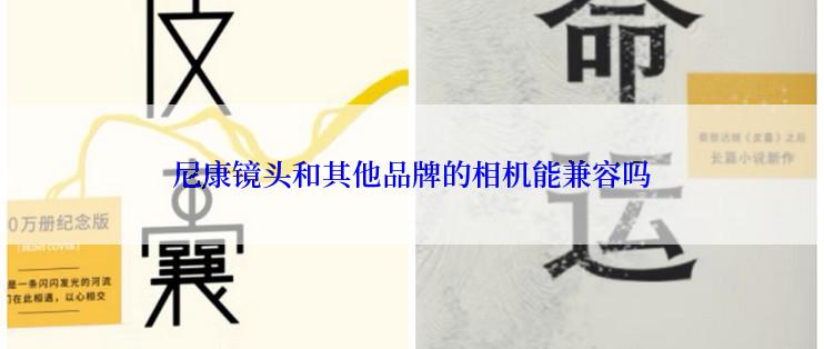 尼康镜头和其他品牌的相机能兼容吗
