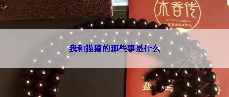我和猫猫的那些事是什么