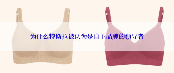 为什么特斯拉被认为是自主品牌的领导者