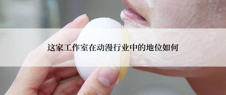 这家工作室在动漫行业中的地位如何