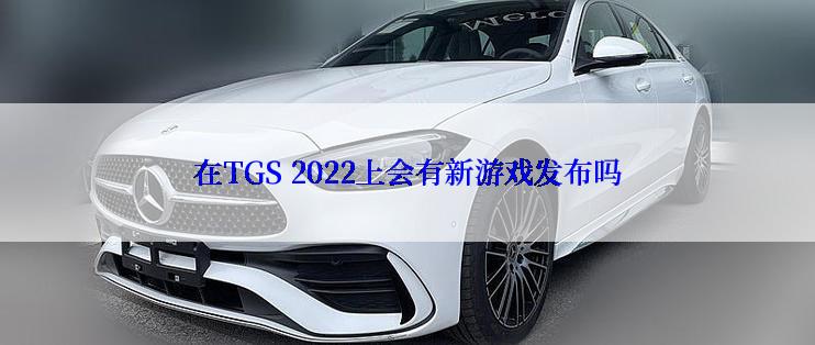 在TGS 2022上会有新游戏发布吗