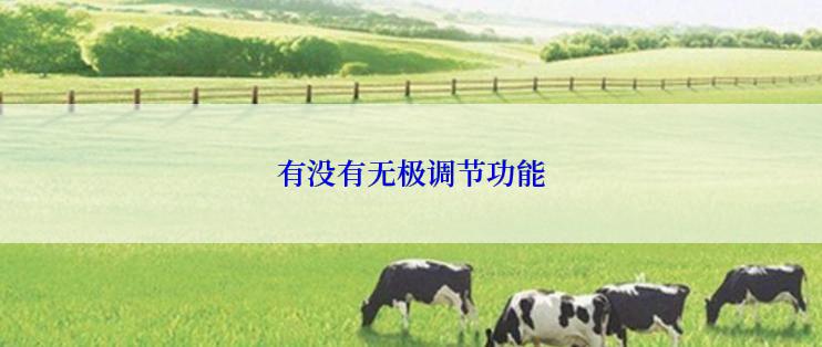 有没有无极调节功能