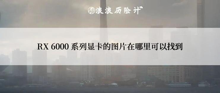 RX 6000 系列显卡的图片在哪里可以找到