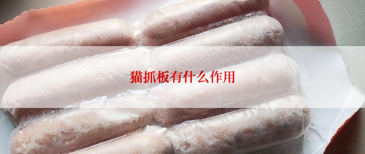 猫抓板有什么作用