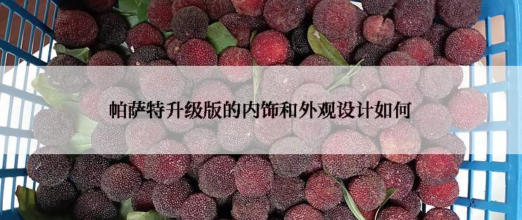 帕萨特升级版的内饰和外观设计如何