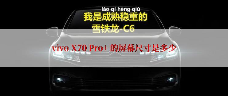 vivo X70 Pro+ 的屏幕尺寸是多少