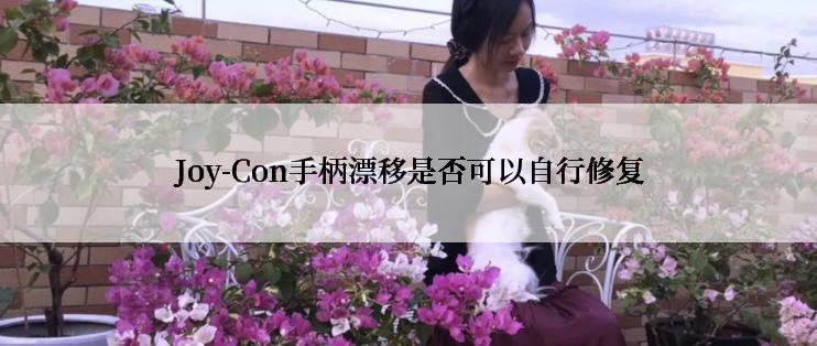 Joy-Con手柄漂移是否可以自行修复
