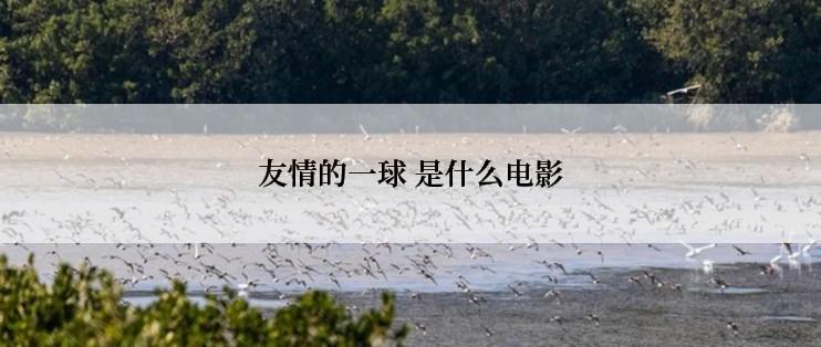 友情的一球 是什么电影
