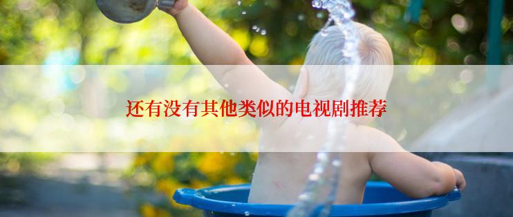 还有没有其他类似的电视剧推荐