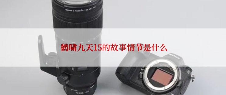  鹤啸九天15的故事情节是什么