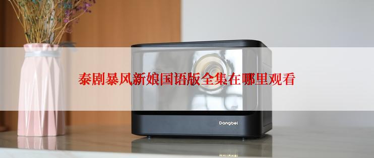 泰剧暴风新娘国语版全集在哪里观看