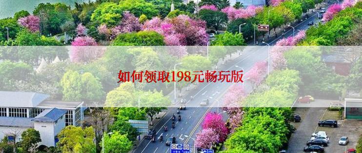 如何领取198元畅玩版