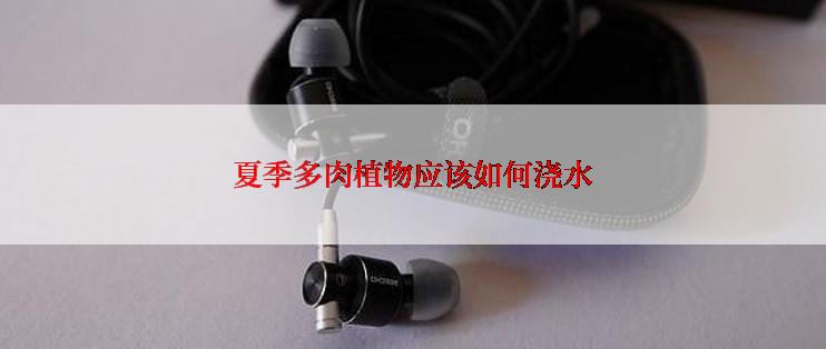 夏季多肉植物应该如何浇水