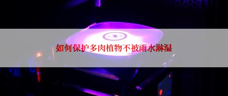 如何保护多肉植物不被雨水淋湿