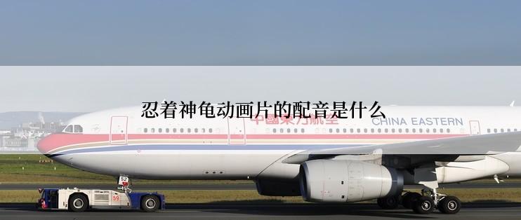  忍着神龟动画片的配音是什么