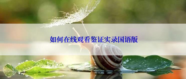  如何在线观看鉴证实录国语版