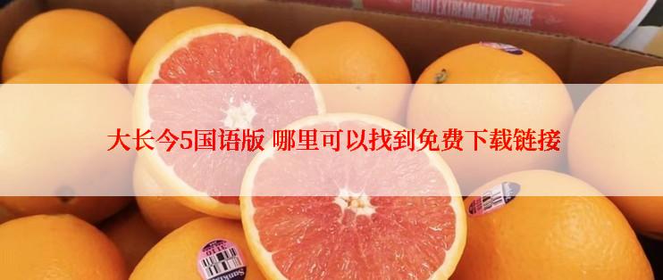  大长今5国语版 哪里可以找到免费下载链接
