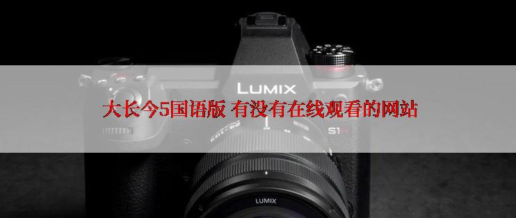  大长今5国语版 有没有在线观看的网站