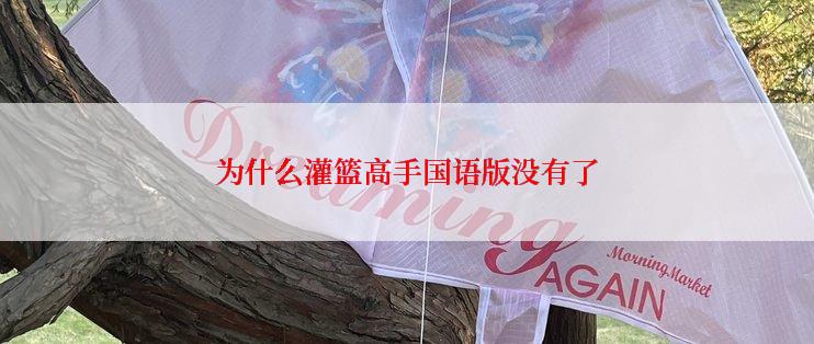 为什么灌篮高手国语版没有了