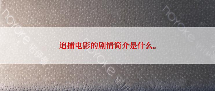 追捕电影的剧情简介是什么。