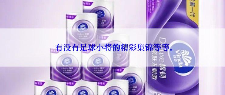  有没有足球小将的精彩集锦等等。