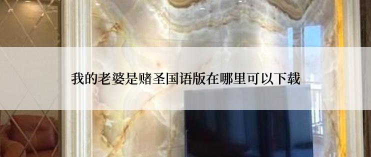 我的老婆是赌圣国语版在哪里可以下载