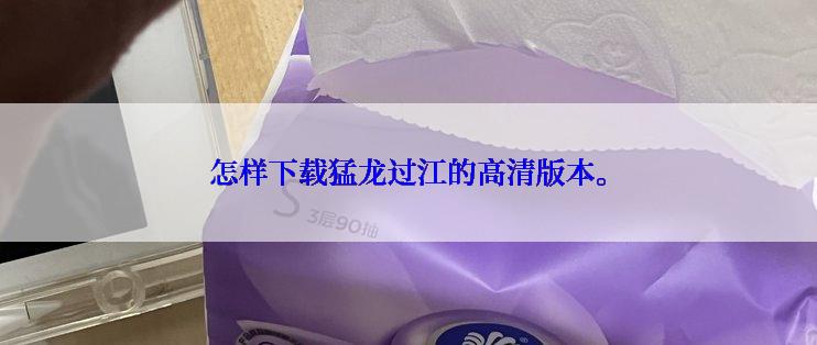 怎样下载猛龙过江的高清版本。