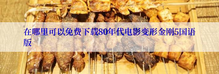 在哪里可以免费下载80年代电影变形金刚5国语版