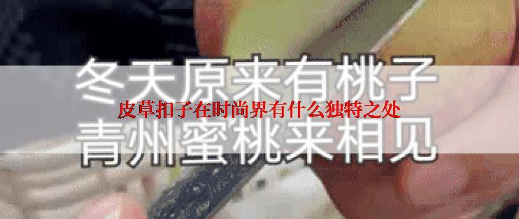 皮草扣子在时尚界有什么独特之处