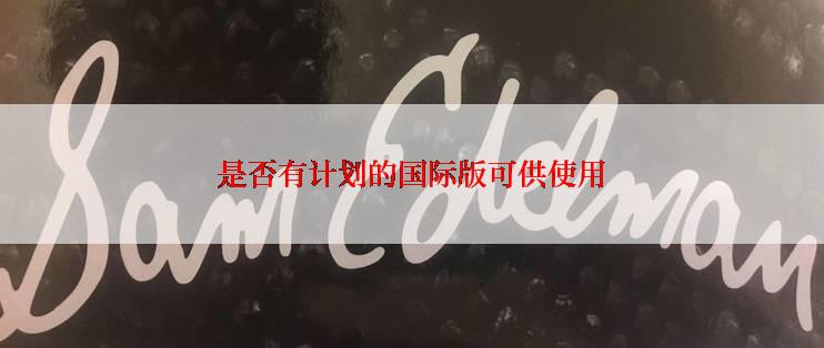 是否有计划的国际版可供使用