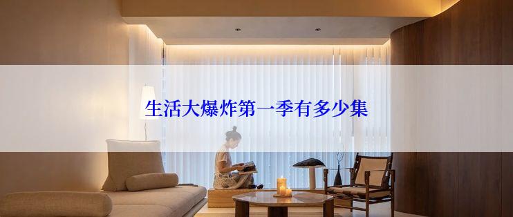 生活大爆炸第一季有多少集