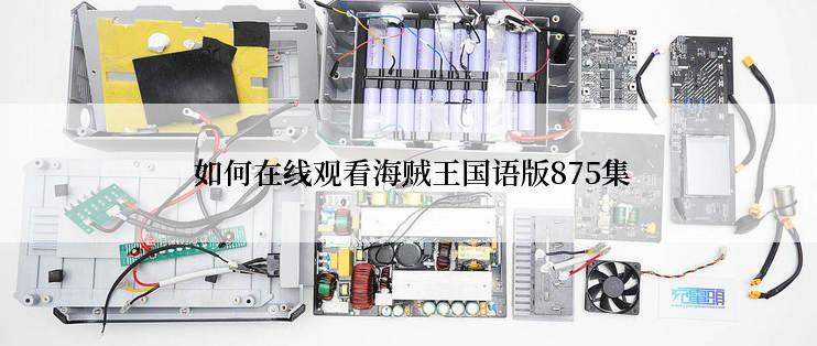  如何在线观看海贼王国语版875集