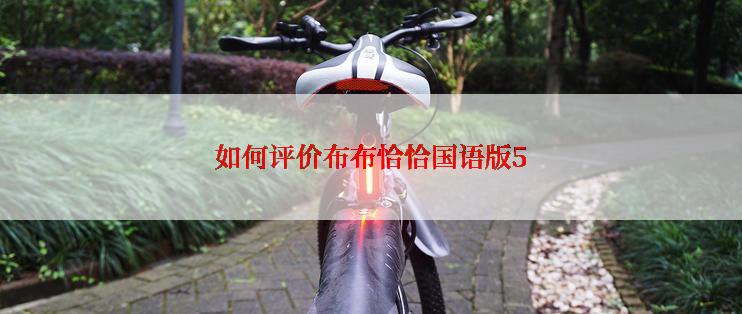 如何评价布布恰恰国语版5