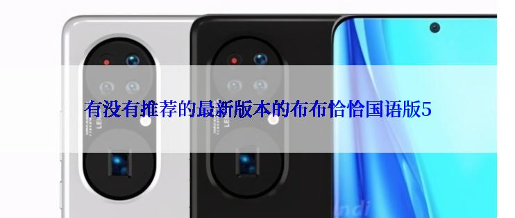 有没有推荐的最新版本的布布恰恰国语版5