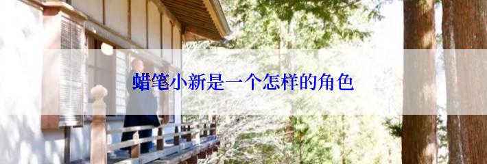 蜡笔小新是一个怎样的角色