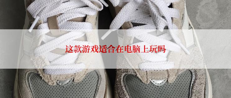 这款游戏适合在电脑上玩吗