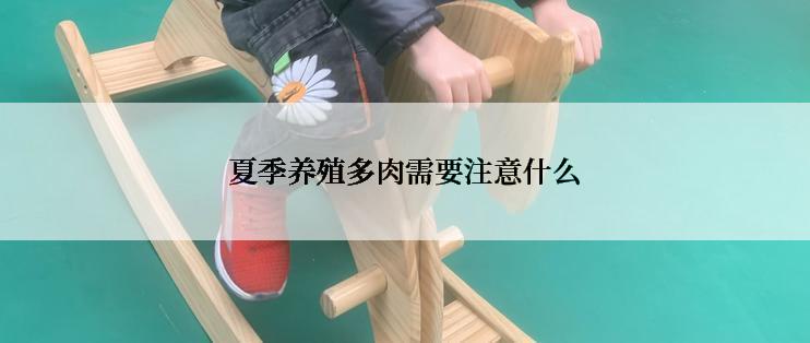 夏季养殖多肉需要注意什么