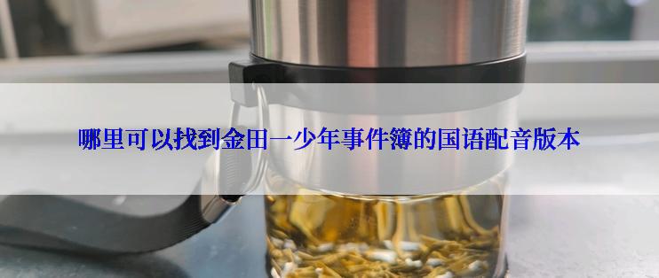 哪里可以找到金田一少年事件簿的国语配音版本