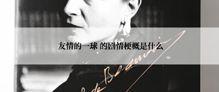 友情的一球 的剧情梗概是什么