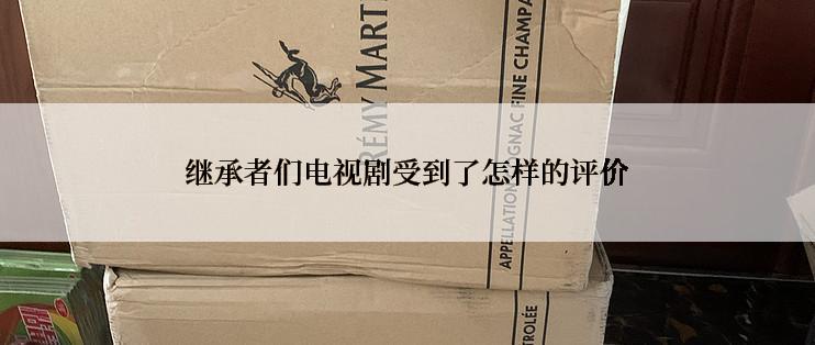 继承者们电视剧受到了怎样的评价