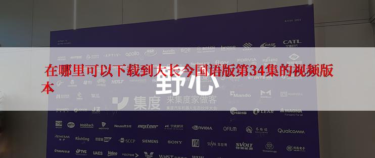  在哪里可以下载到大长今国语版第34集的视频版本