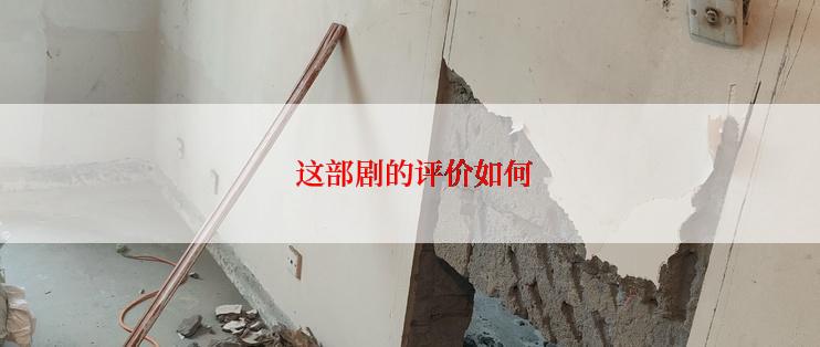  这部剧的评价如何