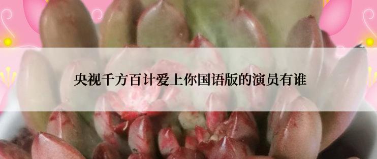  央视千方百计爱上你国语版的演员有谁